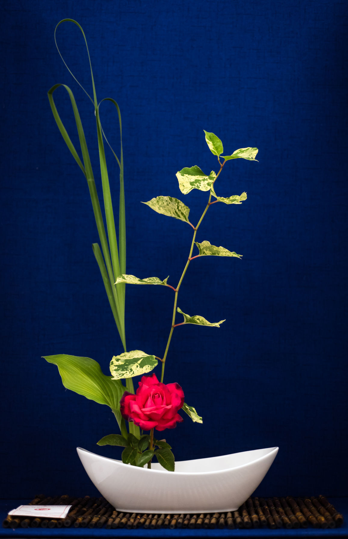 Rose Show